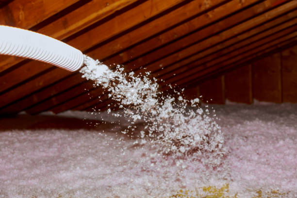 Best Spray Foam Insulation in Ames, TX