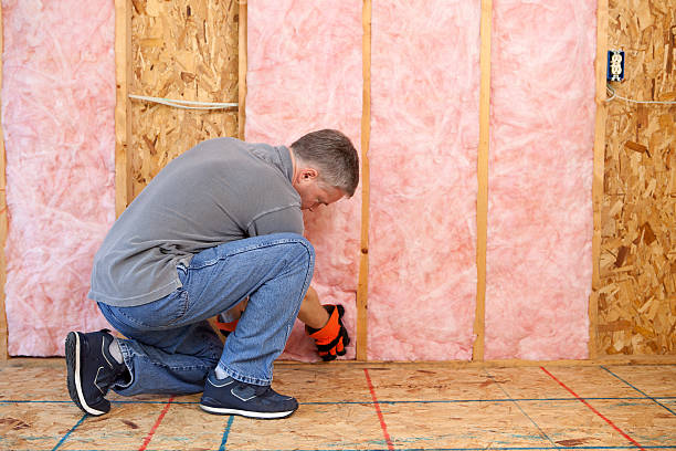 Best Geographic-Specific Insulation Services in Ames, TX