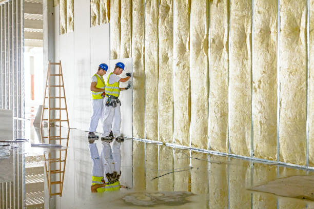 Types of Insulation We Offer in Ames, TX